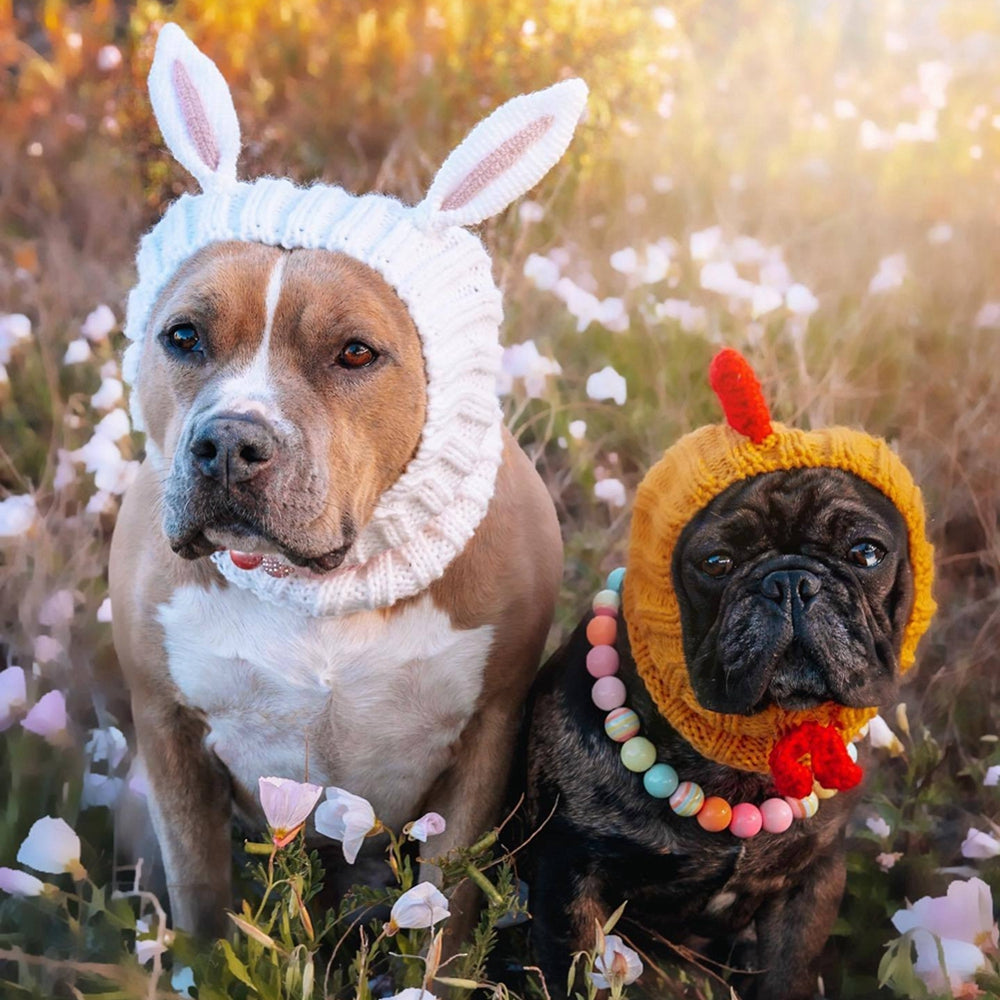 Warme Woef Muts | Gebreide Hondencap voor Winterdagen