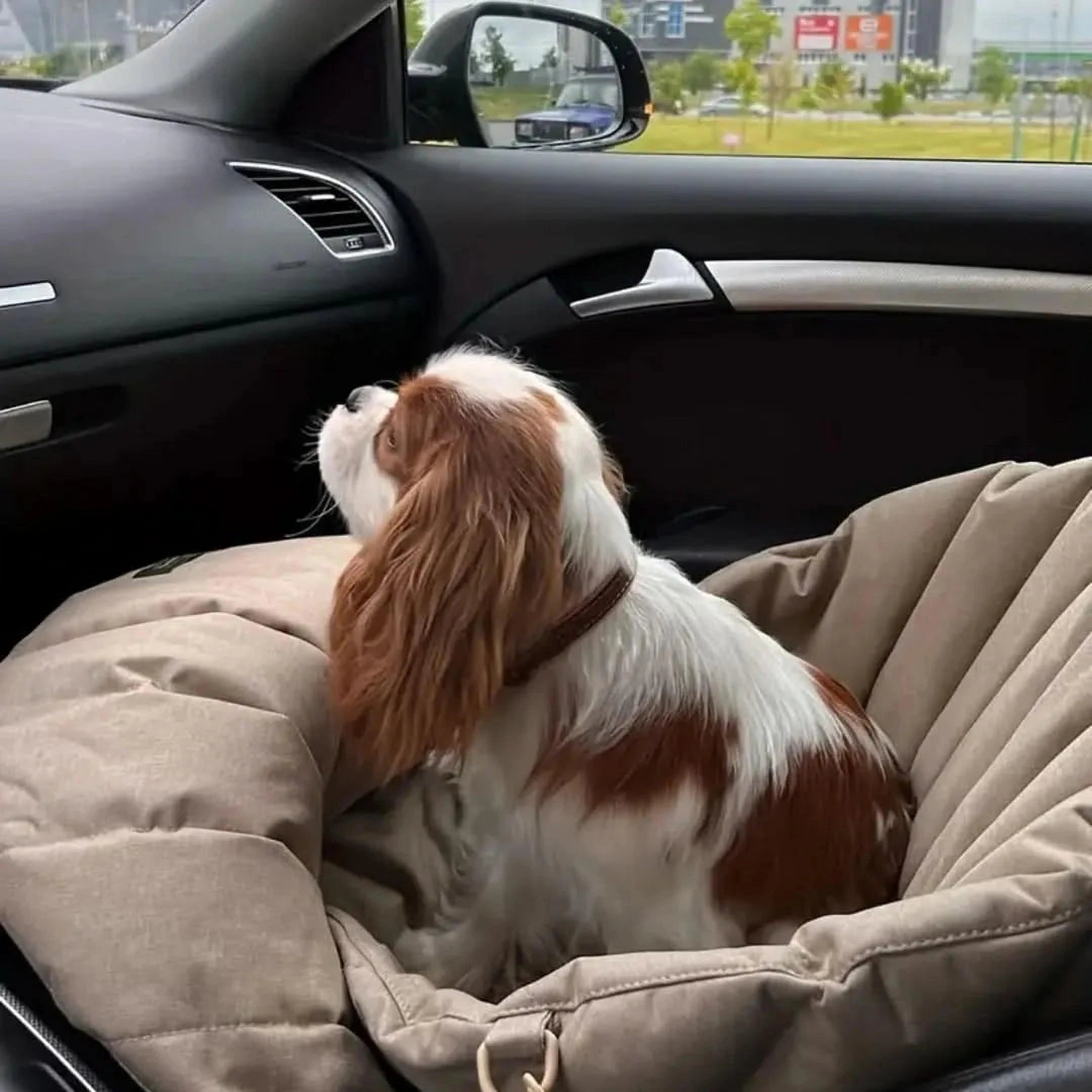 Draagbare Buddy Tas | Waterdichte Reistas voor Huisdieren