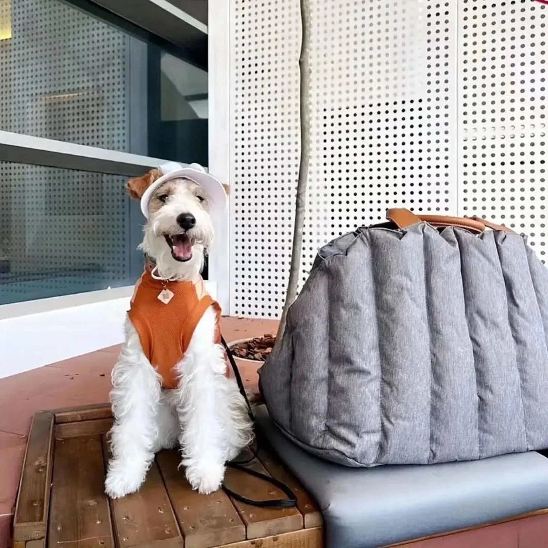 Draagbare Buddy Tas | Waterdichte Reistas voor Huisdieren