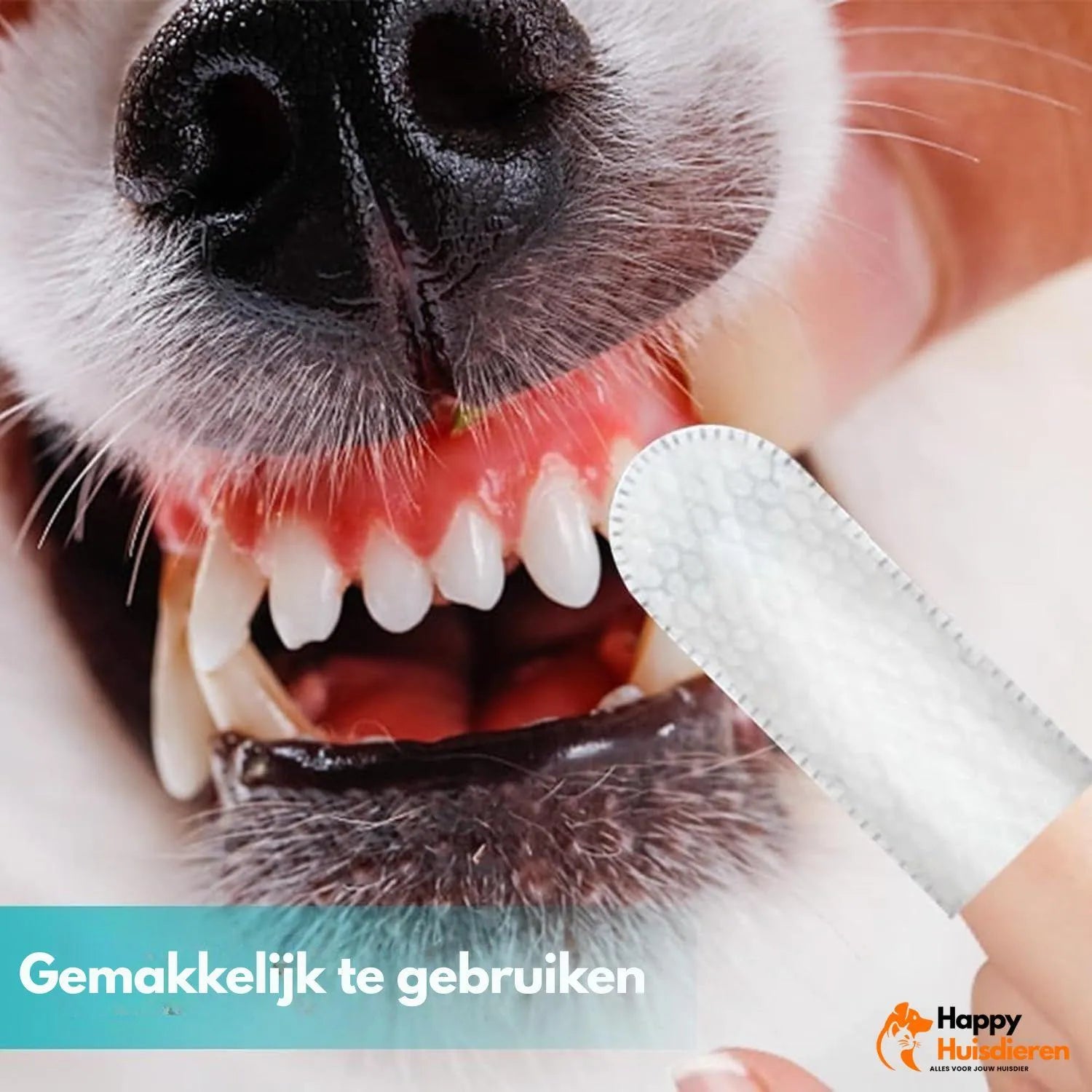 EarEase | Reinigende oor-doekjes – kalmerend & veilig voor honden en katten