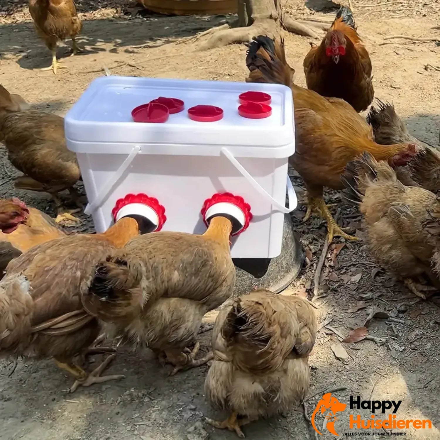 FeedFlow | Automatisch Kippenvoerstation Zonder Stroom – Hygiënisch & Tijdbesparend