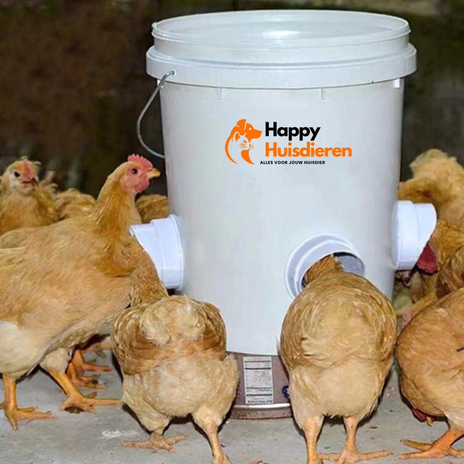 FeedFlow | Automatisch Kippenvoerstation Zonder Stroom – Hygiënisch & Tijdbesparend