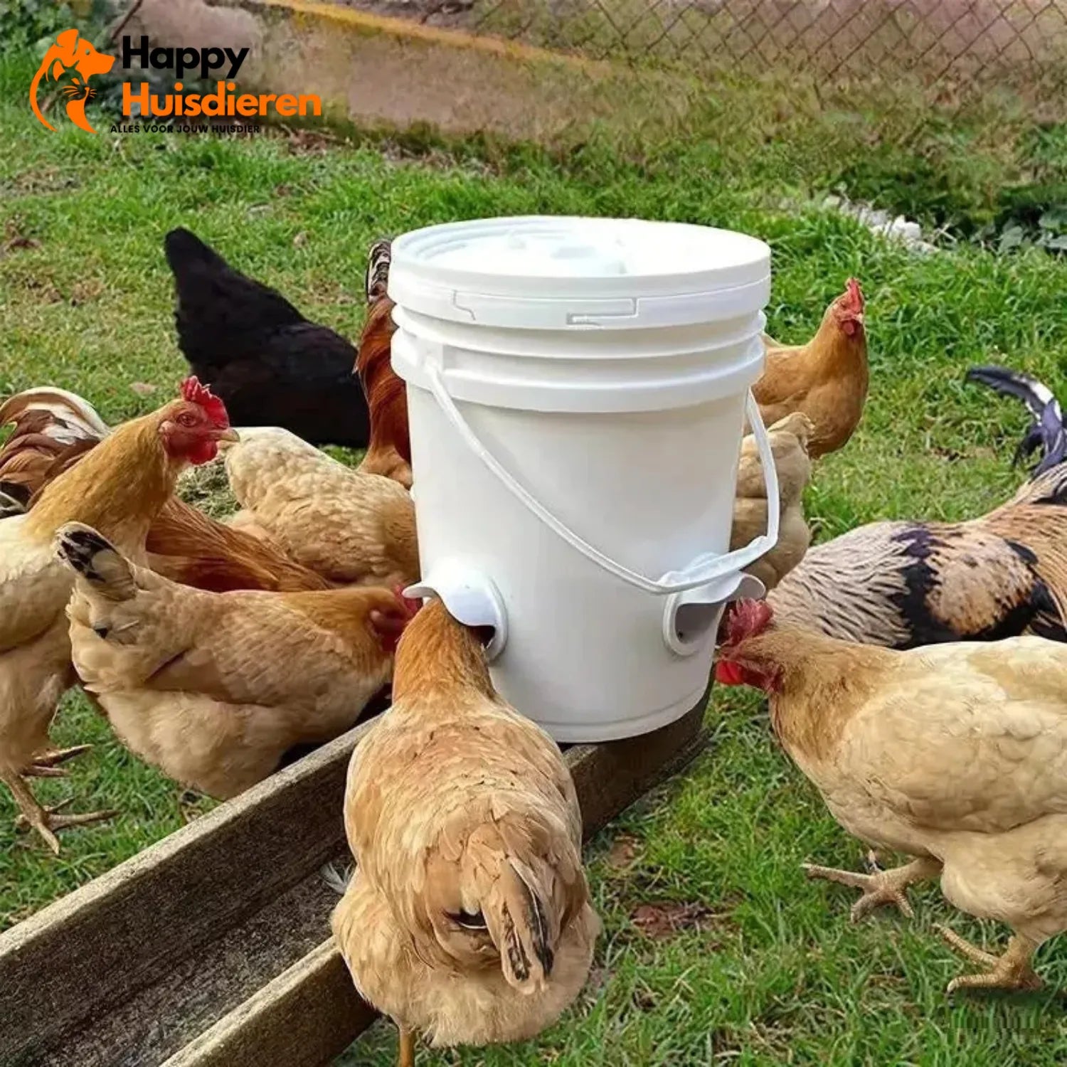 FeedFlow | Automatisch Kippenvoerstation Zonder Stroom – Hygiënisch & Tijdbesparend