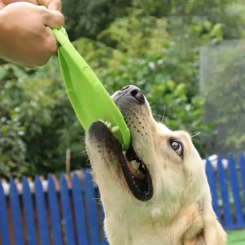 Felix | Actieve Hond Frisbee Voor Eindeloos Plezier
