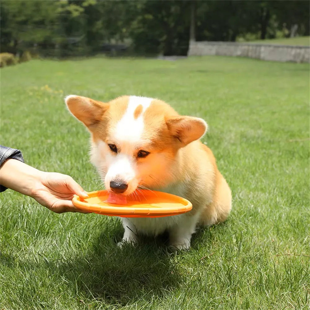 Felix | Actieve Hond Frisbee Voor Eindeloos Plezier