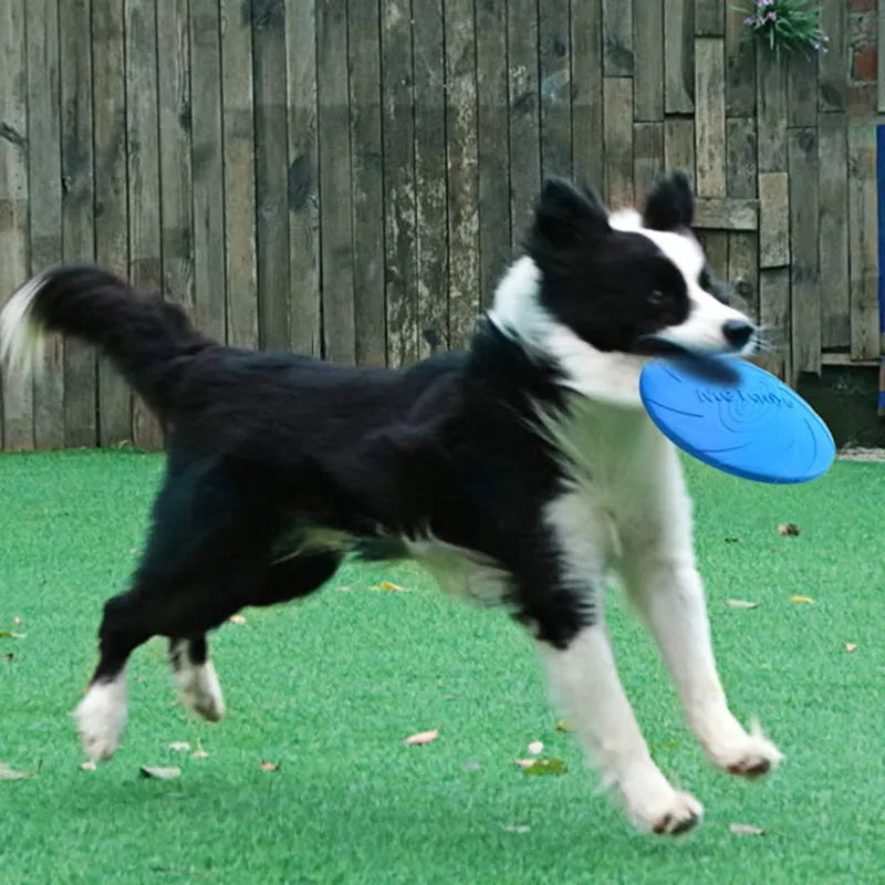 Felix | Actieve Hond Frisbee Voor Eindeloos Plezier
