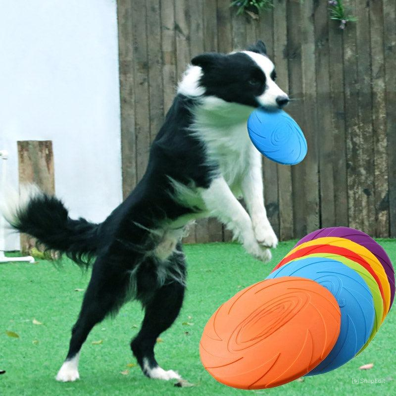 Felix | Actieve Hond Frisbee Voor Eindeloos Plezier