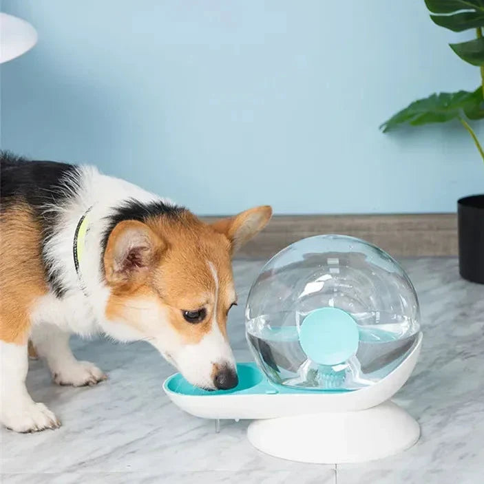 FlowSpring | Automatische waterfontein voor honden en katten – altijd vers, stromend water