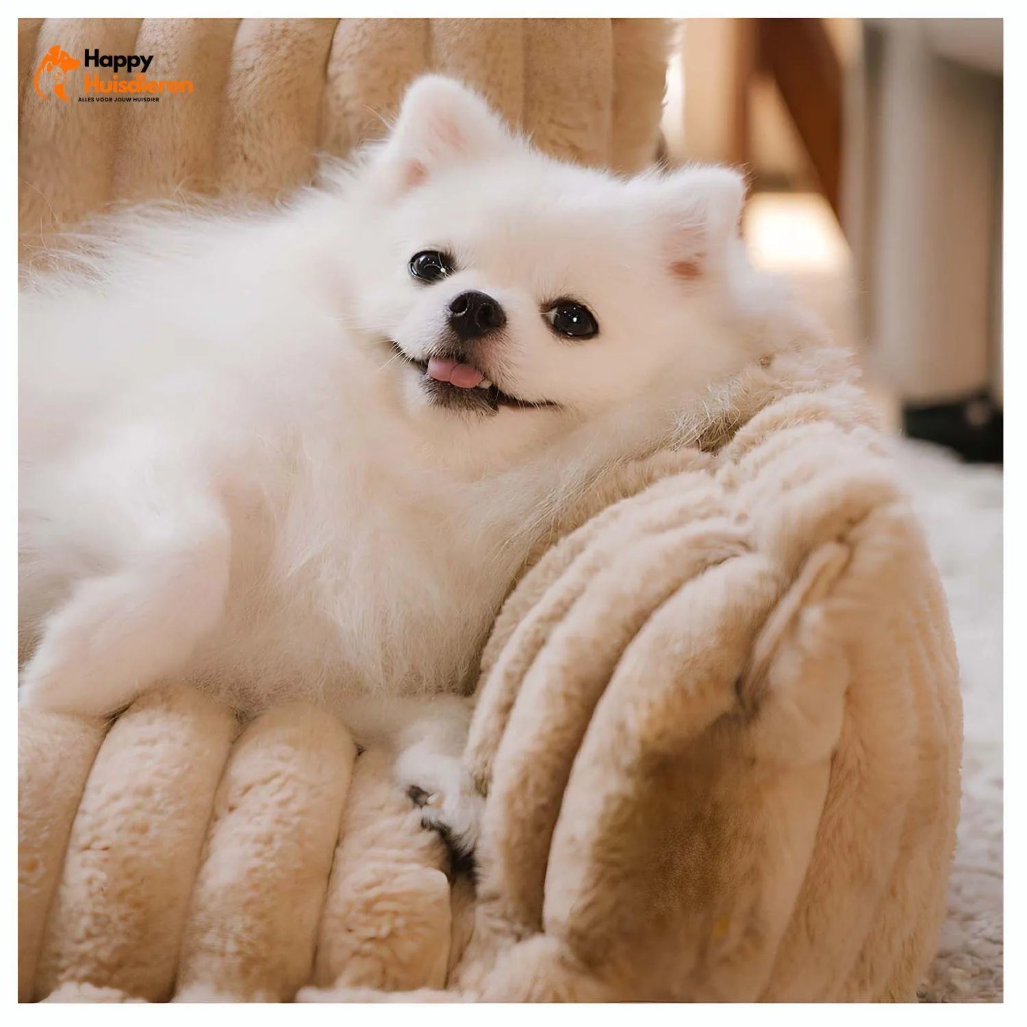 Fluffy Droomnest | Grote Wasbare Orthopedische Hondenkussenbank voor Comfort