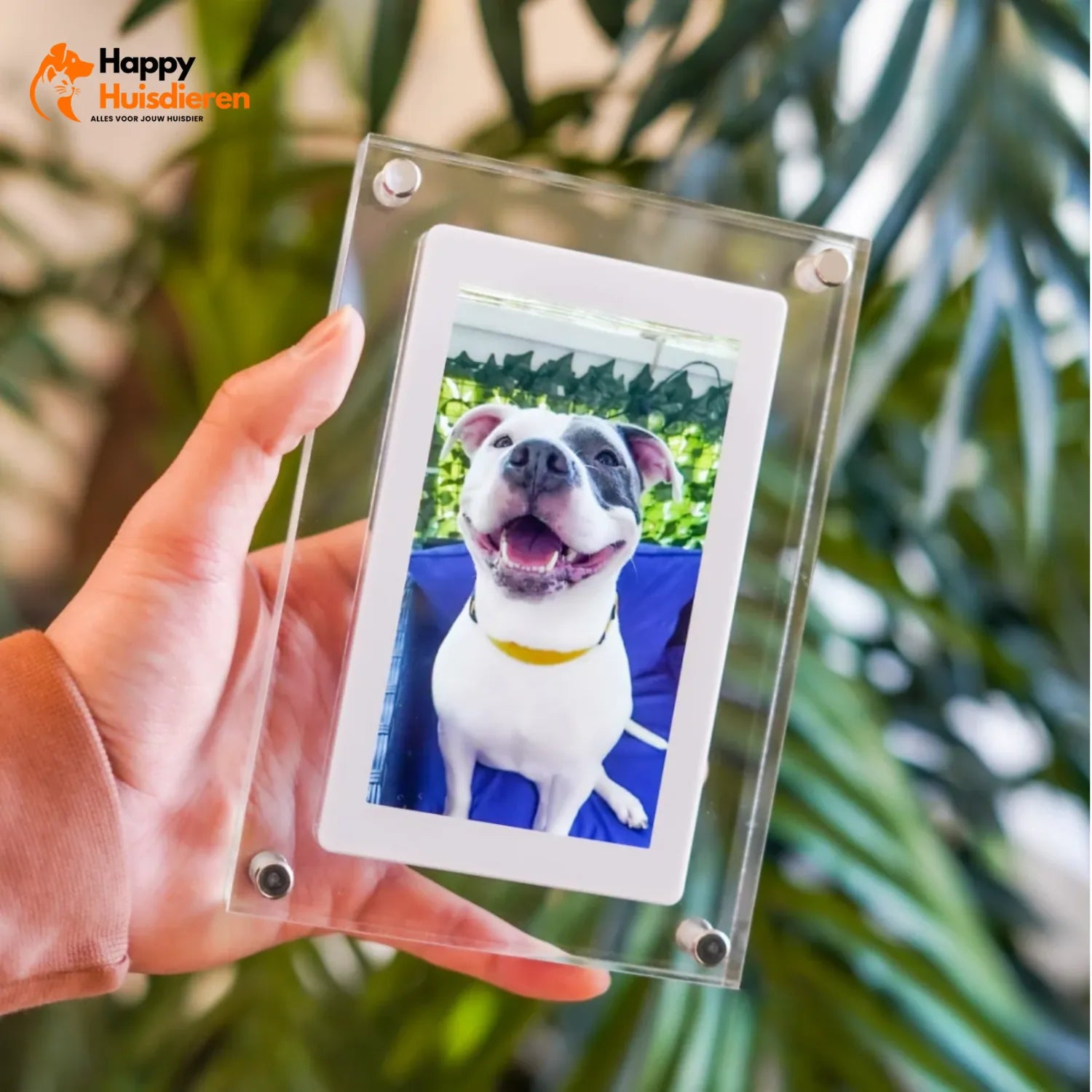 FotoMagie Lijst | Slimme Digitale Fotolijst met WiFi-connectiviteit