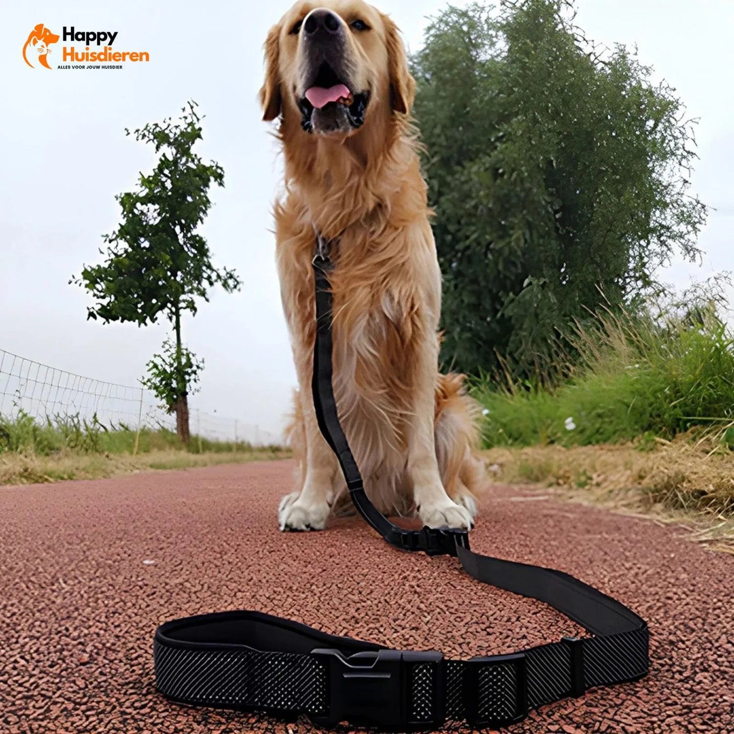 FreedomWalk Lead | Multifunctionele Handsfree Riem met Autogordelbevestiging