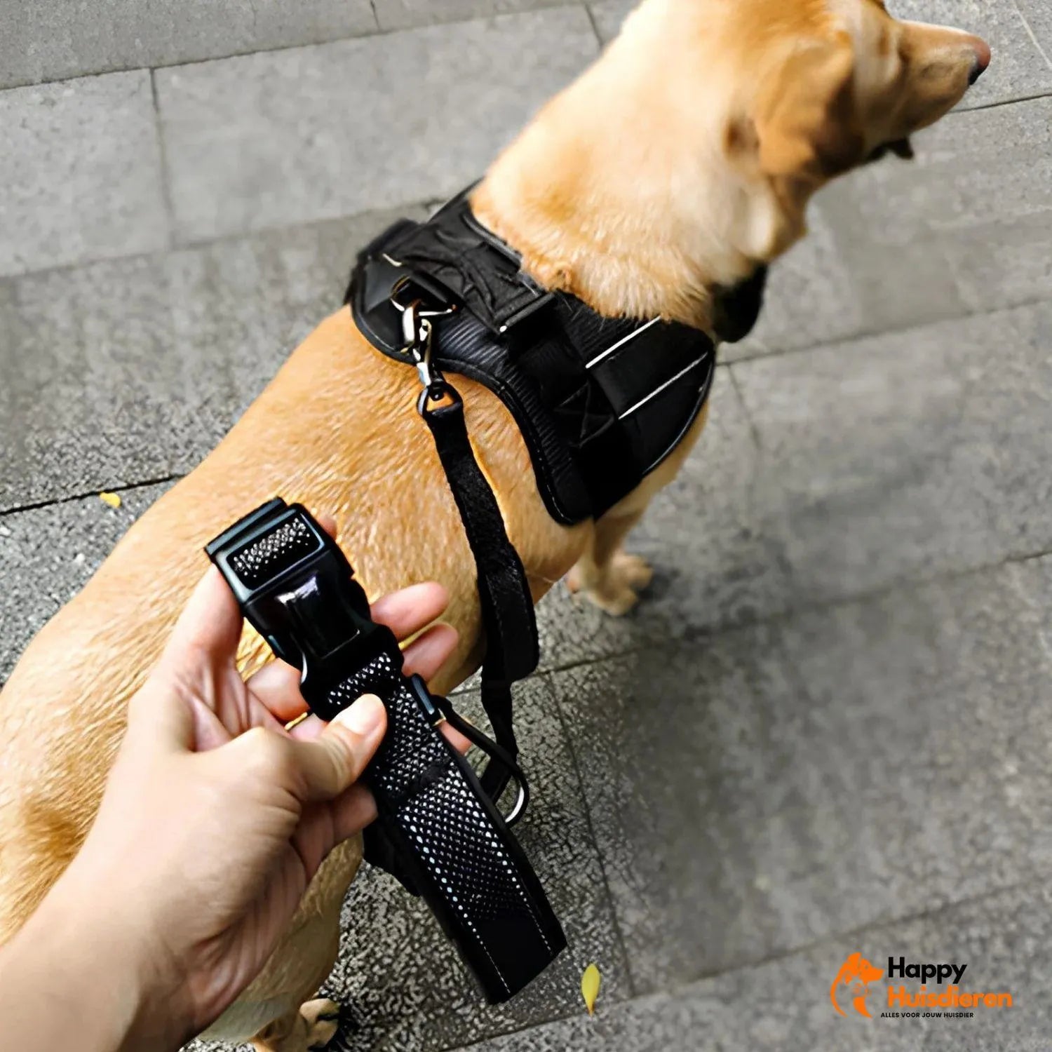FreedomWalk Lead | Multifunctionele Handsfree Riem met Autogordelbevestiging