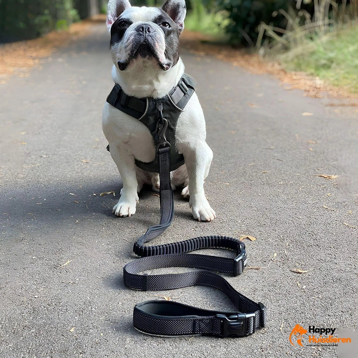 FreedomWalk Lead | Multifunctionele Handsfree Riem met Autogordelbevestiging