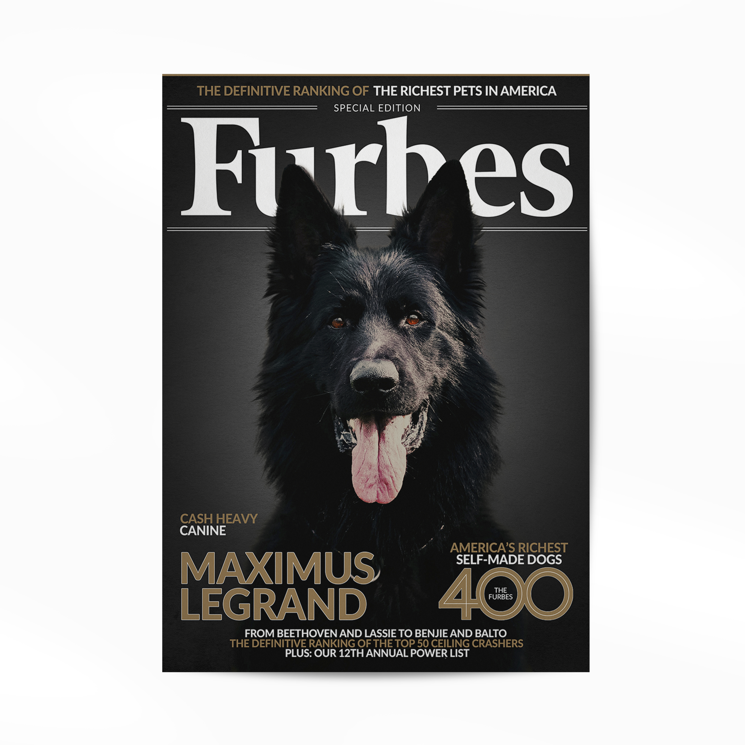 PetMuse | Gepersonaliseerd dierenportret met liefde