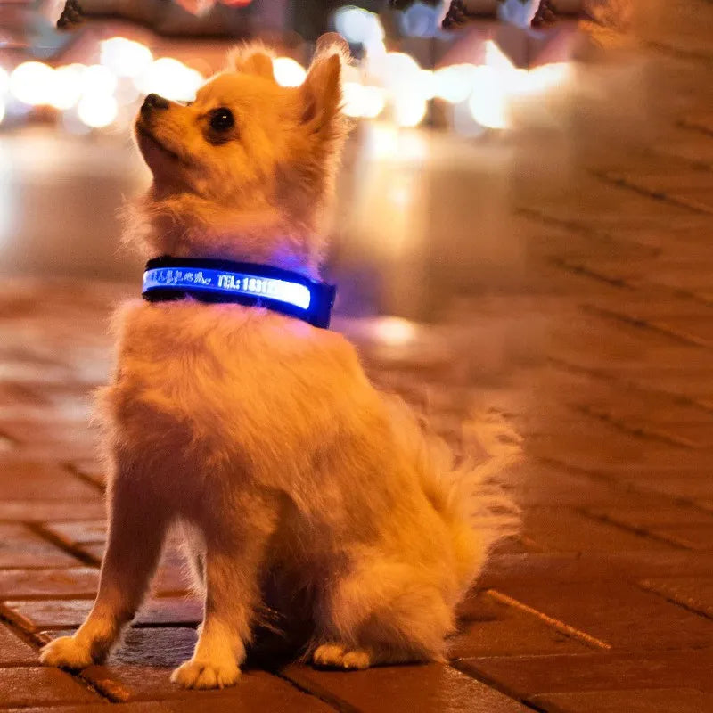 GlowID LED Halsband | Gepersonaliseerde Oplaadbare Hondenhalsband