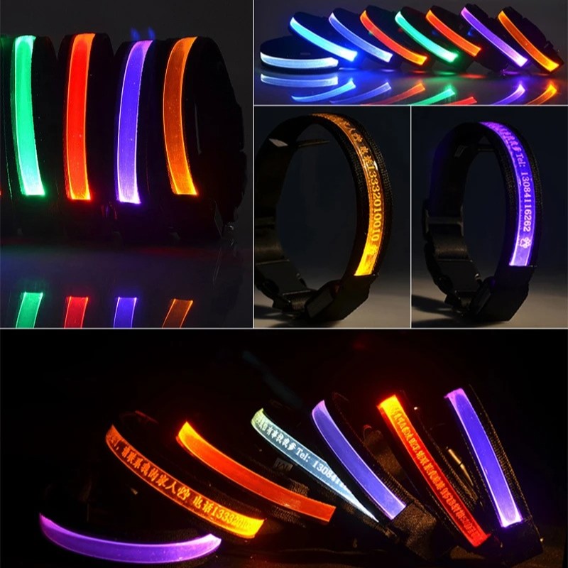 GlowID LED Halsband | Gepersonaliseerde Oplaadbare Hondenhalsband