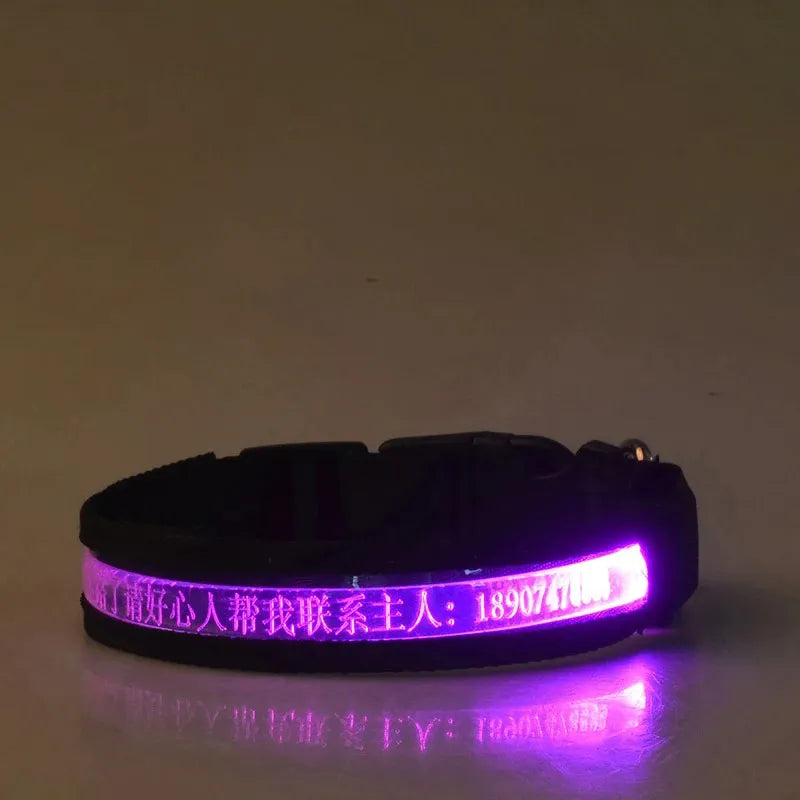GlowID LED Halsband | Gepersonaliseerde Oplaadbare Hondenhalsband