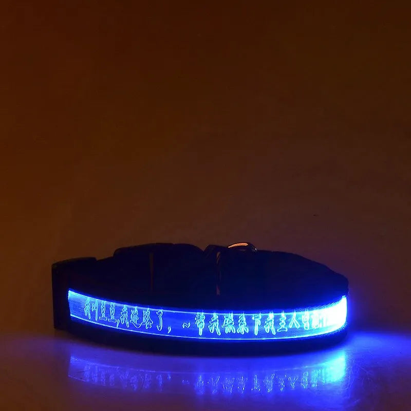 GlowID LED Halsband | Gepersonaliseerde Oplaadbare Hondenhalsband
