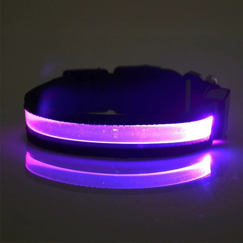 GlowID LED Halsband | Gepersonaliseerde Oplaadbare Hondenhalsband