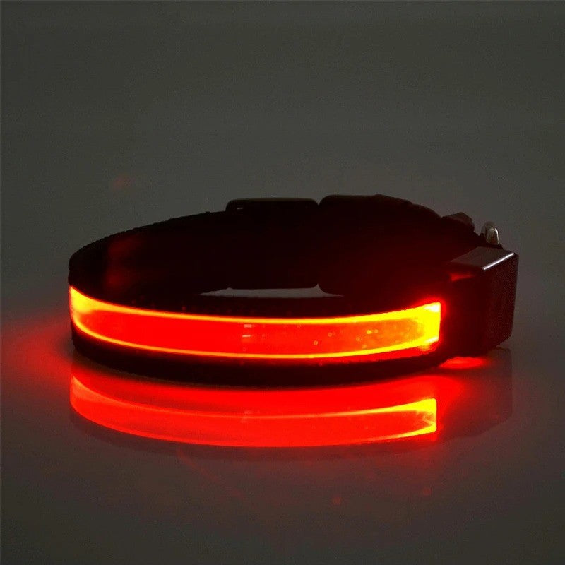 GlowID LED Halsband | Gepersonaliseerde Oplaadbare Hondenhalsband