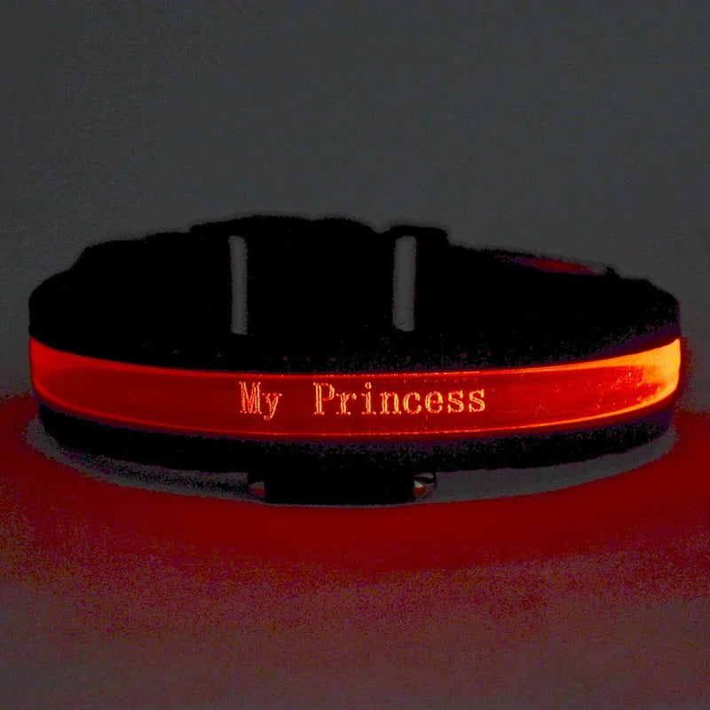 GlowID LED Halsband | Gepersonaliseerde Oplaadbare Hondenhalsband
