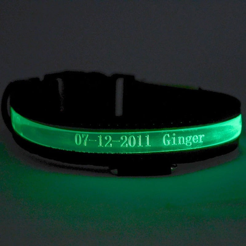 GlowID LED Halsband | Gepersonaliseerde Oplaadbare Hondenhalsband