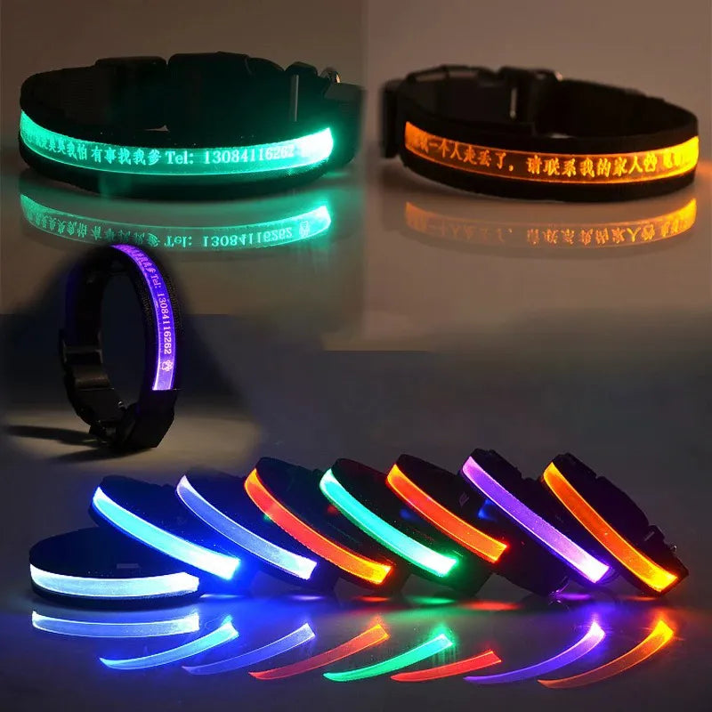 GlowID LED Halsband | Gepersonaliseerde Oplaadbare Hondenhalsband
