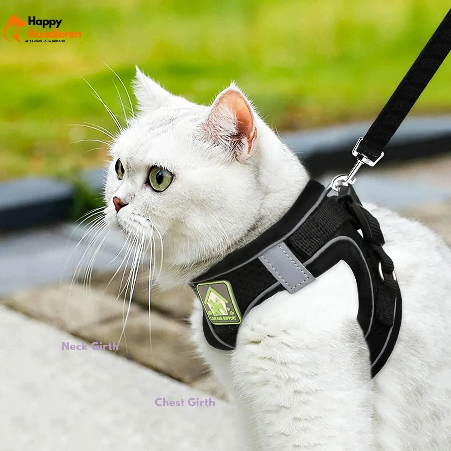 GlowPaw Gear | Ademend Pet Harnas voor Veilig Wandelen