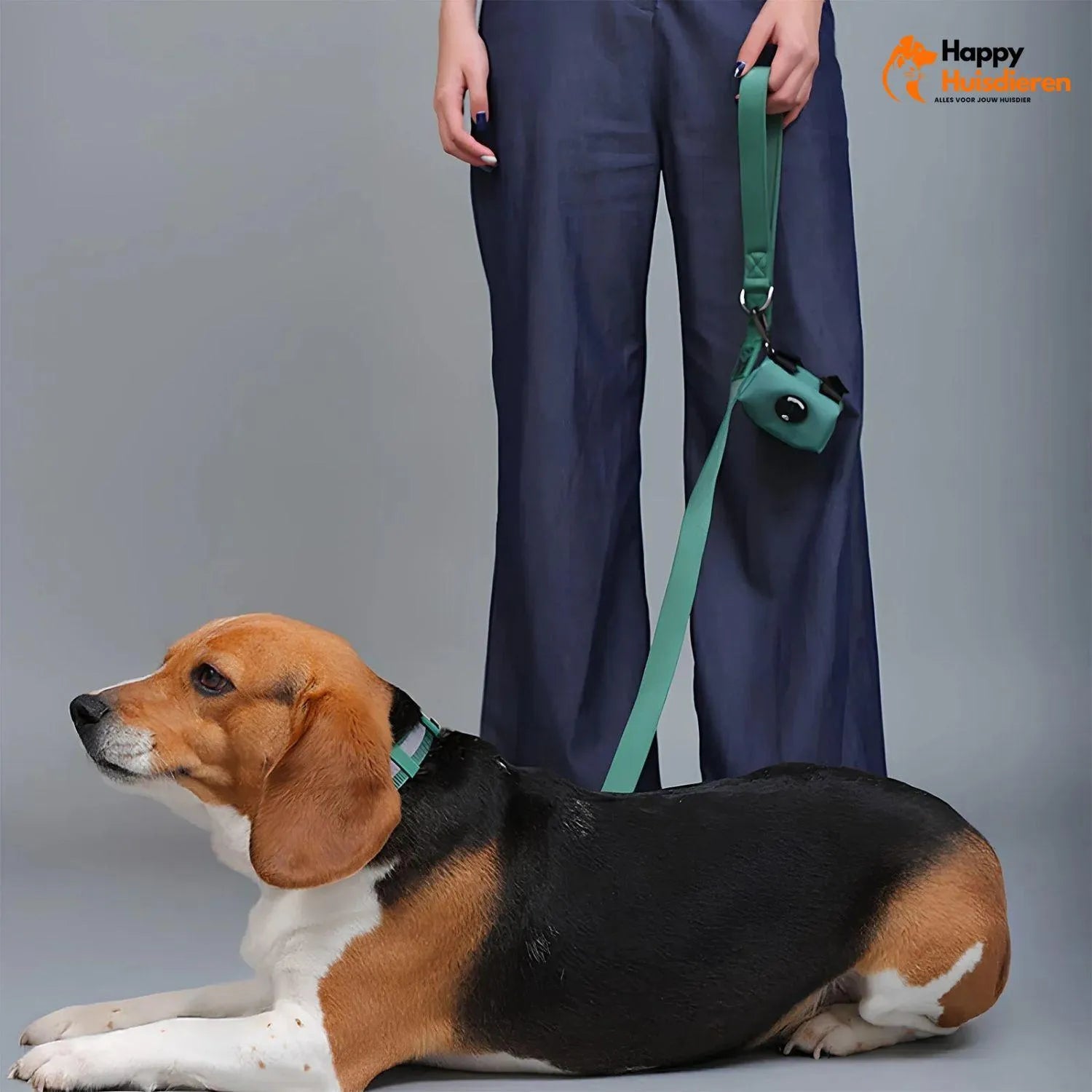 GlowTrail Set | Comfortabel Verstelbaar Hondentuig met Reflectie en Lijn