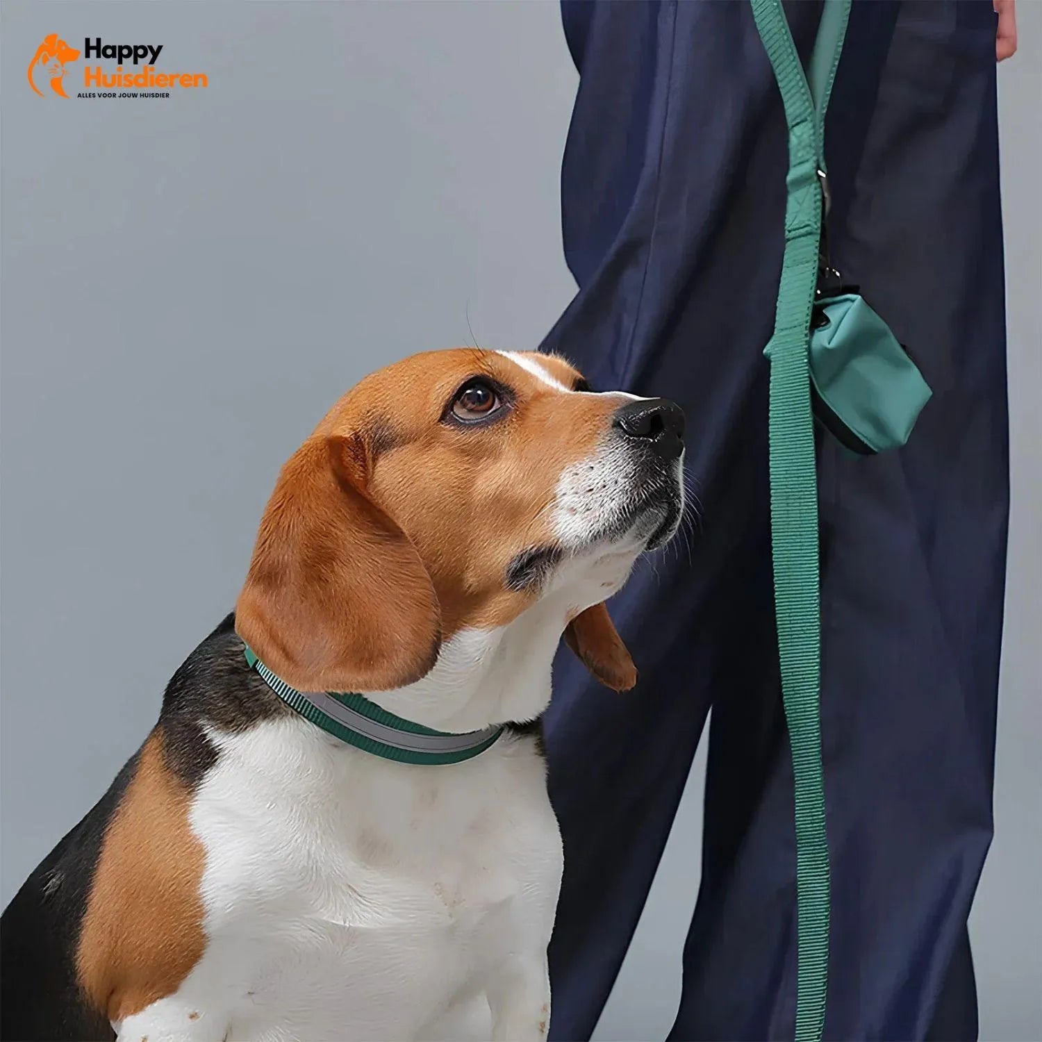 GlowTrail Set | Comfortabel Verstelbaar Hondentuig met Reflectie en Lijn