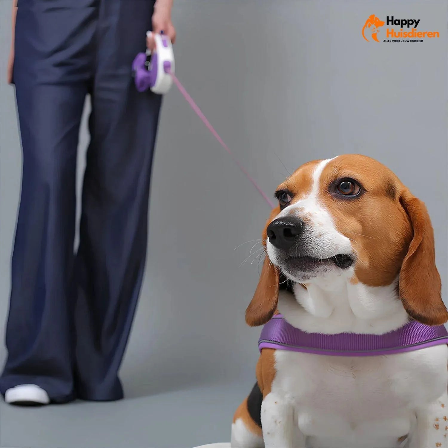 GlowTrail Set | Comfortabel Verstelbaar Hondentuig met Reflectie en Lijn