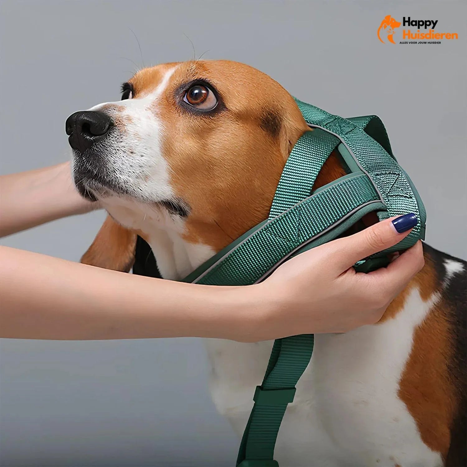 GlowTrail Set | Comfortabel Verstelbaar Hondentuig met Reflectie en Lijn