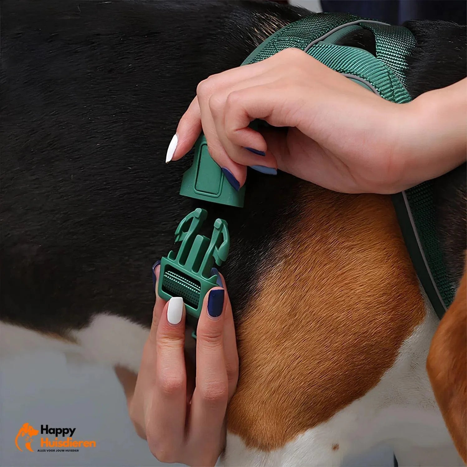 GlowTrail Set | Comfortabel Verstelbaar Hondentuig met Reflectie en Lijn