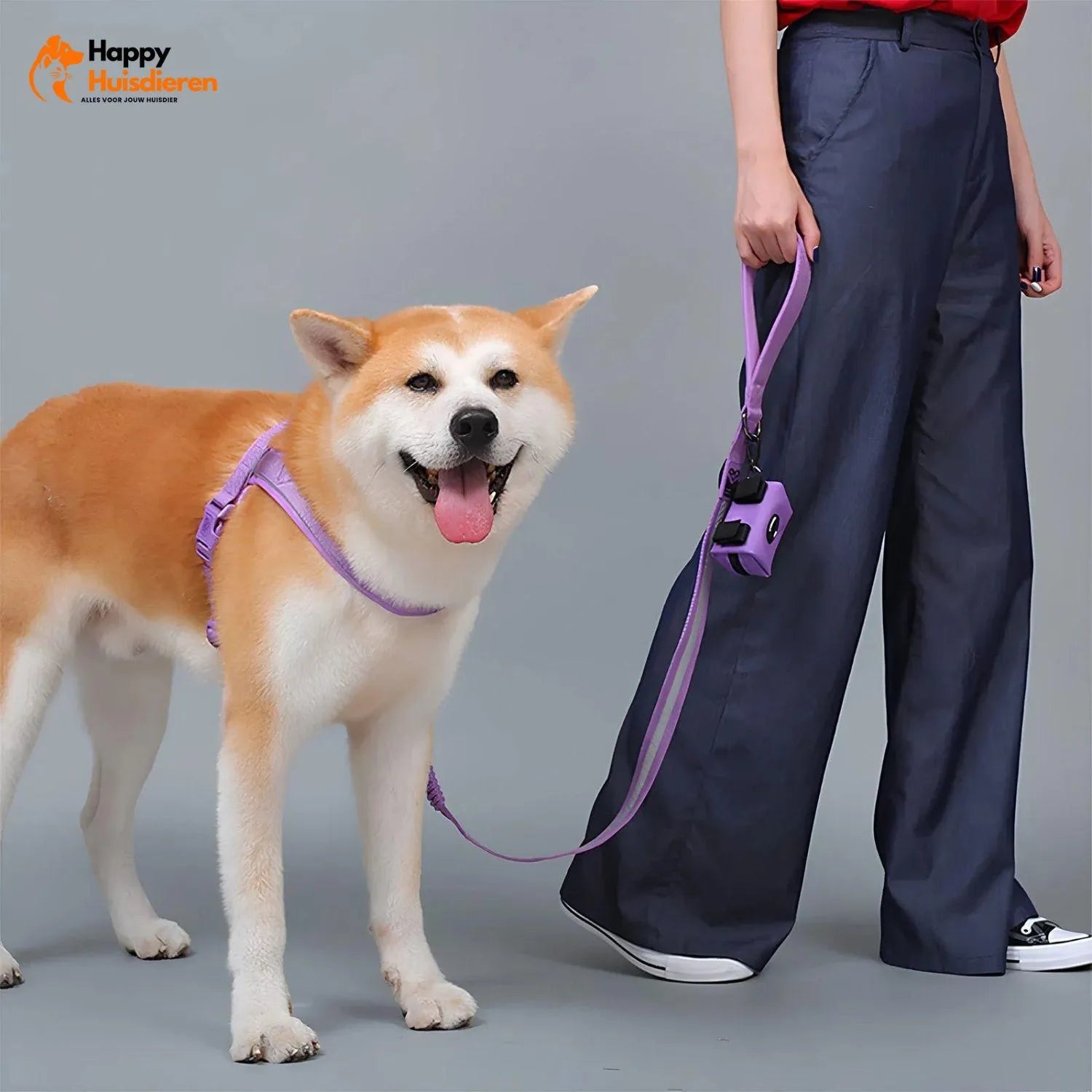 GlowTrail Set | Comfortabel Verstelbaar Hondentuig met Reflectie en Lijn