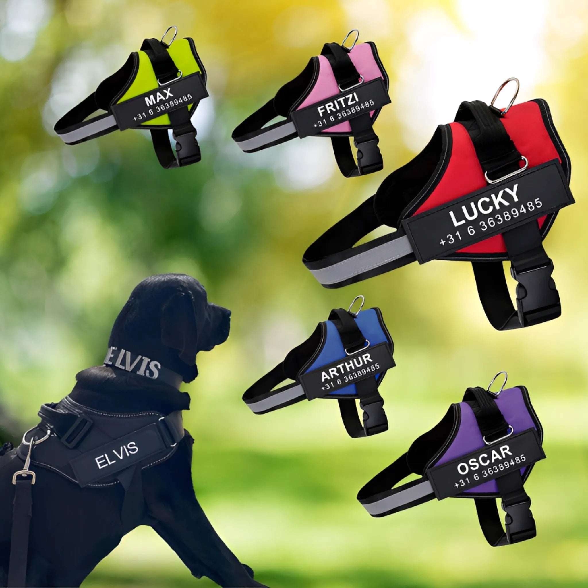 Guardian – Anti-Trek Gepersonaliseerd Hondentuig met Naamgravure en Telefoonnummer | Comfortabel & Veilig