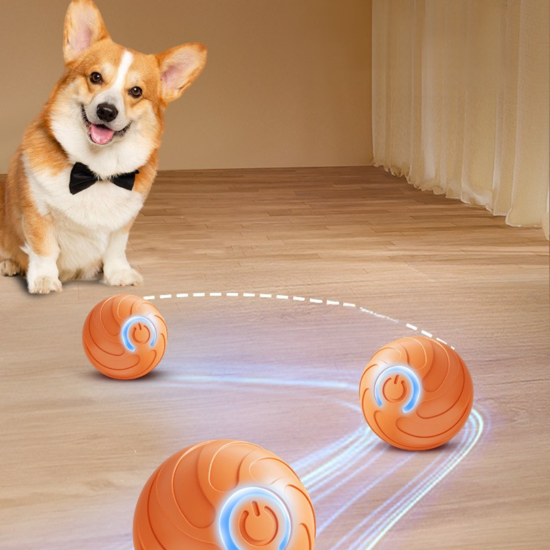 BounceBuddy | De interactieve speelbal voor energieke huisdieren