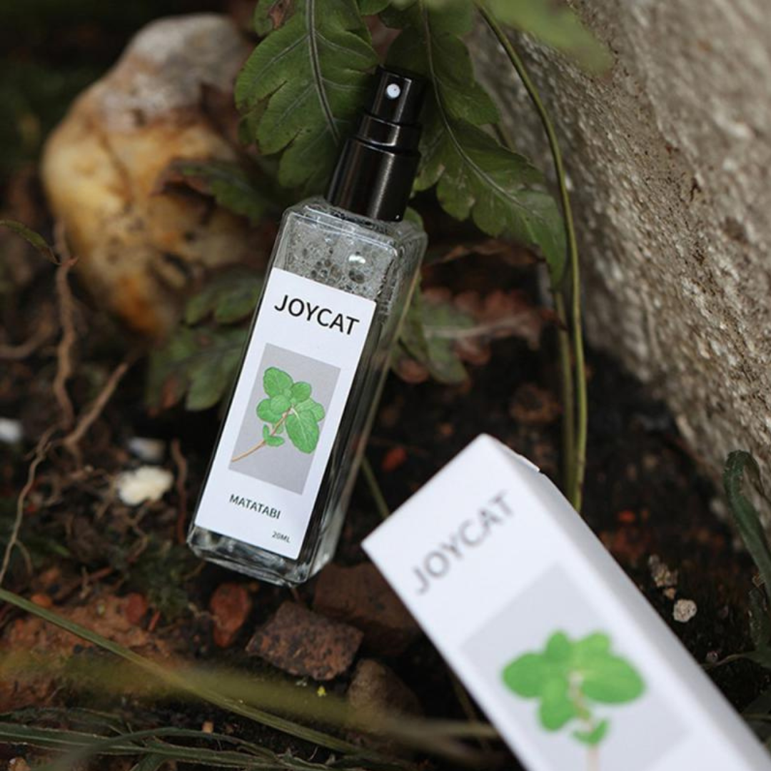 MeowMist | Stimulerende kattenkruid spray voor speelse en blije katten