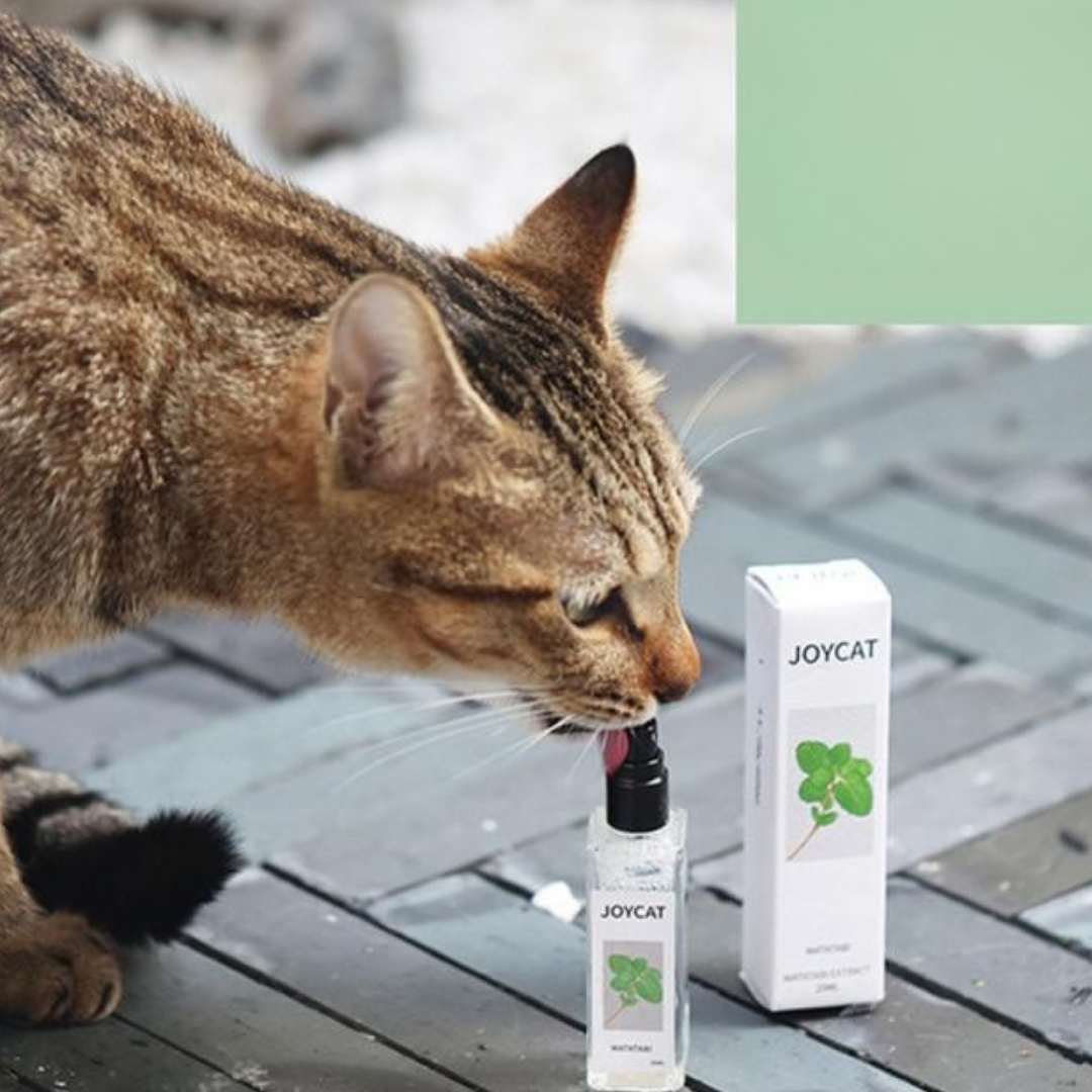 MeowMist | Stimulerende kattenkruid spray voor speelse en blije katten