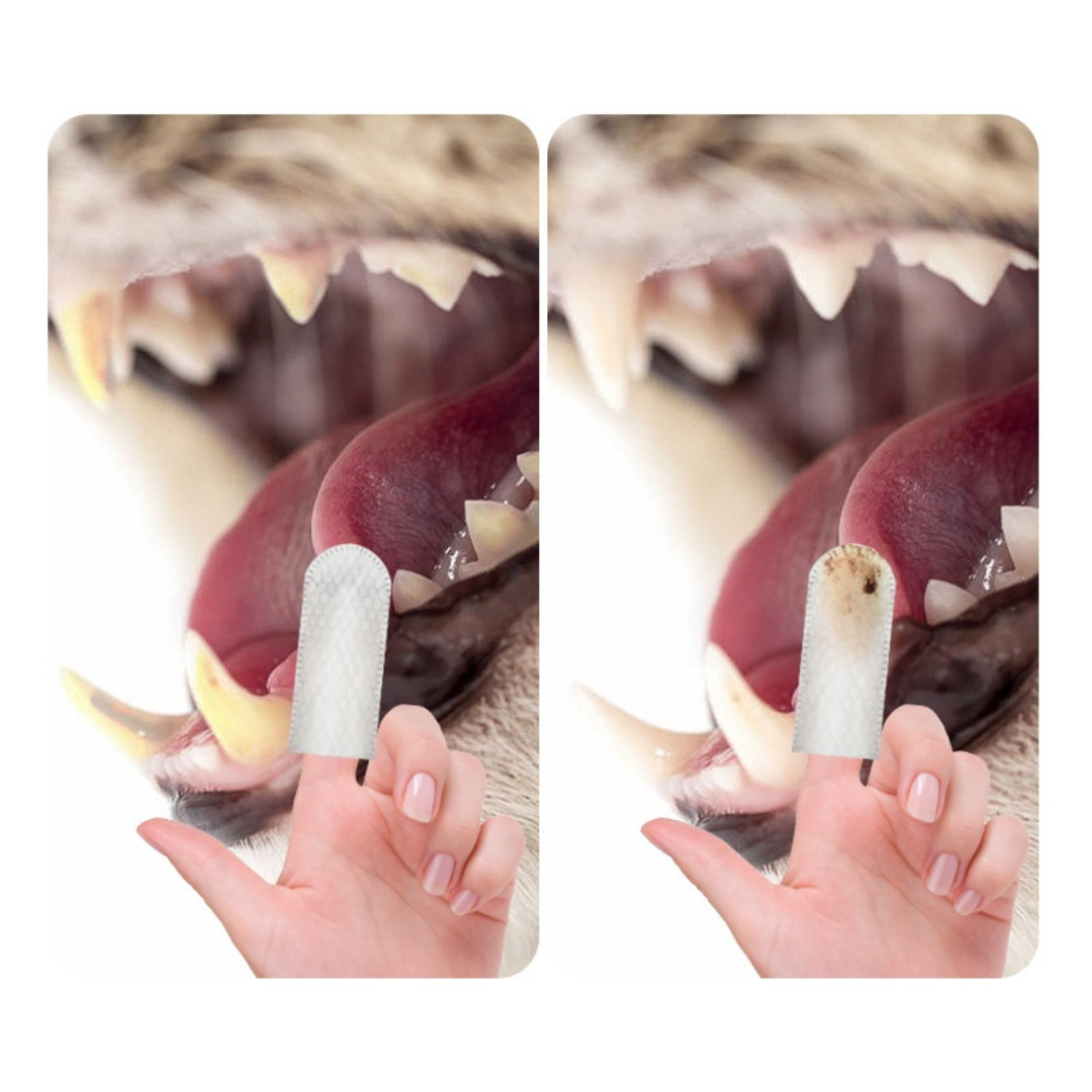 MintyClean | Natuurlijke dental wipes voor frisse adem en gezond gebit