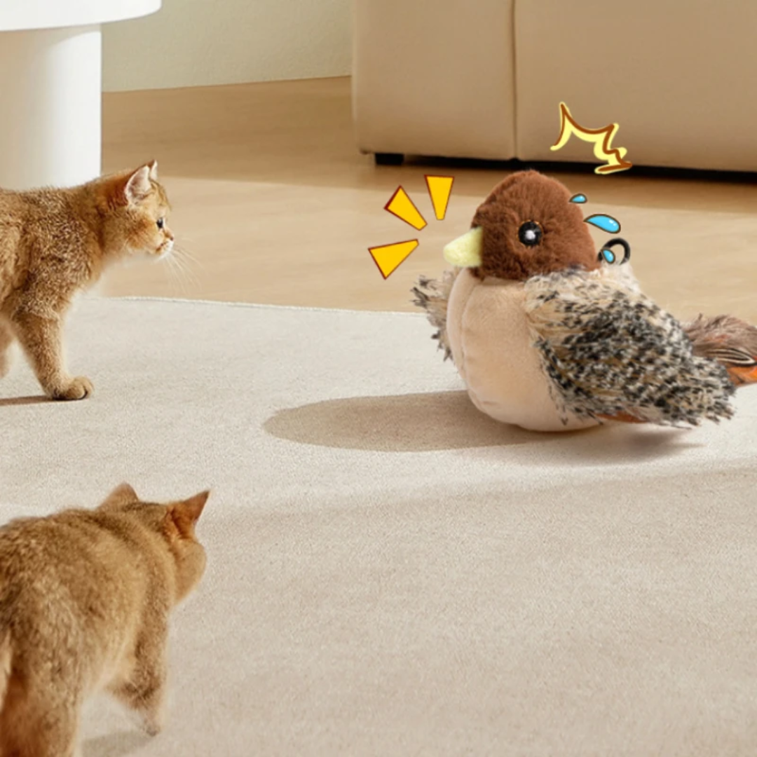 ChaseWhirl | De interactieve jacht spel voor actieve katten