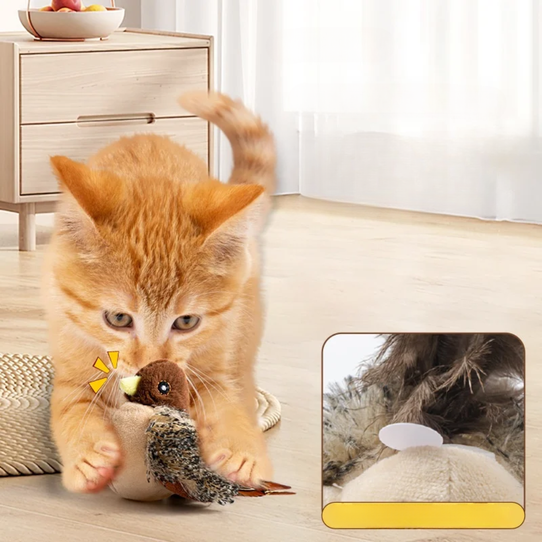 ChaseWhirl | De interactieve jacht spel voor actieve katten