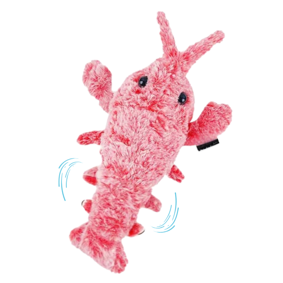 ChaseLoop | Automatisch huisdierspeeltje voor actief en blij gedrag