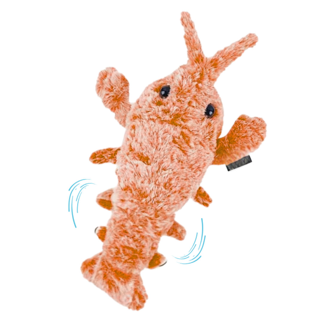 ChaseLoop | Automatisch huisdierspeeltje voor actief en blij gedrag