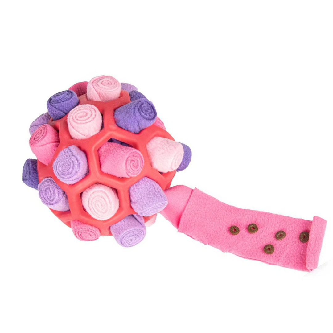 BrainPlay | Interactief hondenspeeltje tegen verveling en stress