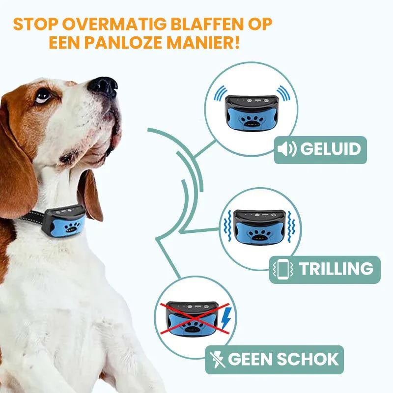 CalmCollar | Slimme en pijnvrije anti-blaf halsband voor honden