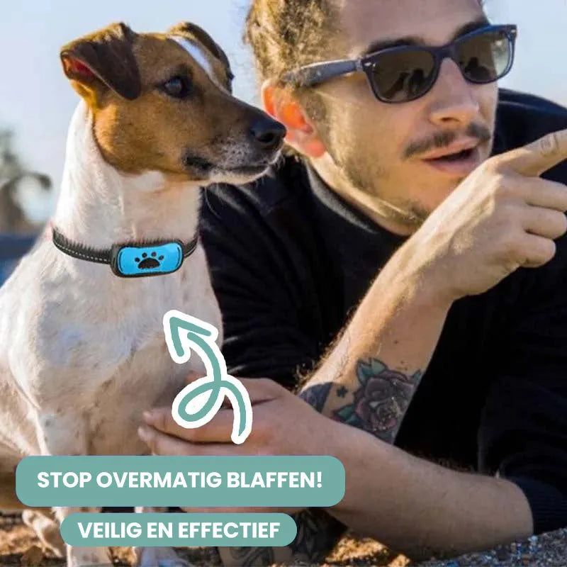 CalmCollar | Slimme en pijnvrije anti-blaf halsband voor honden