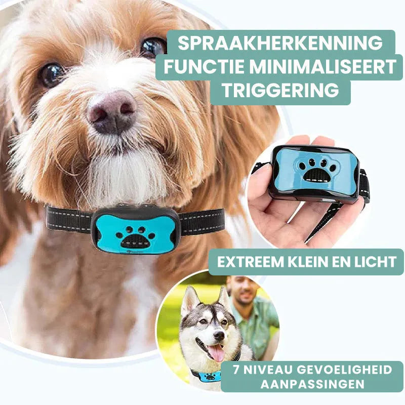 CalmCollar | Slimme en pijnvrije anti-blaf halsband voor honden