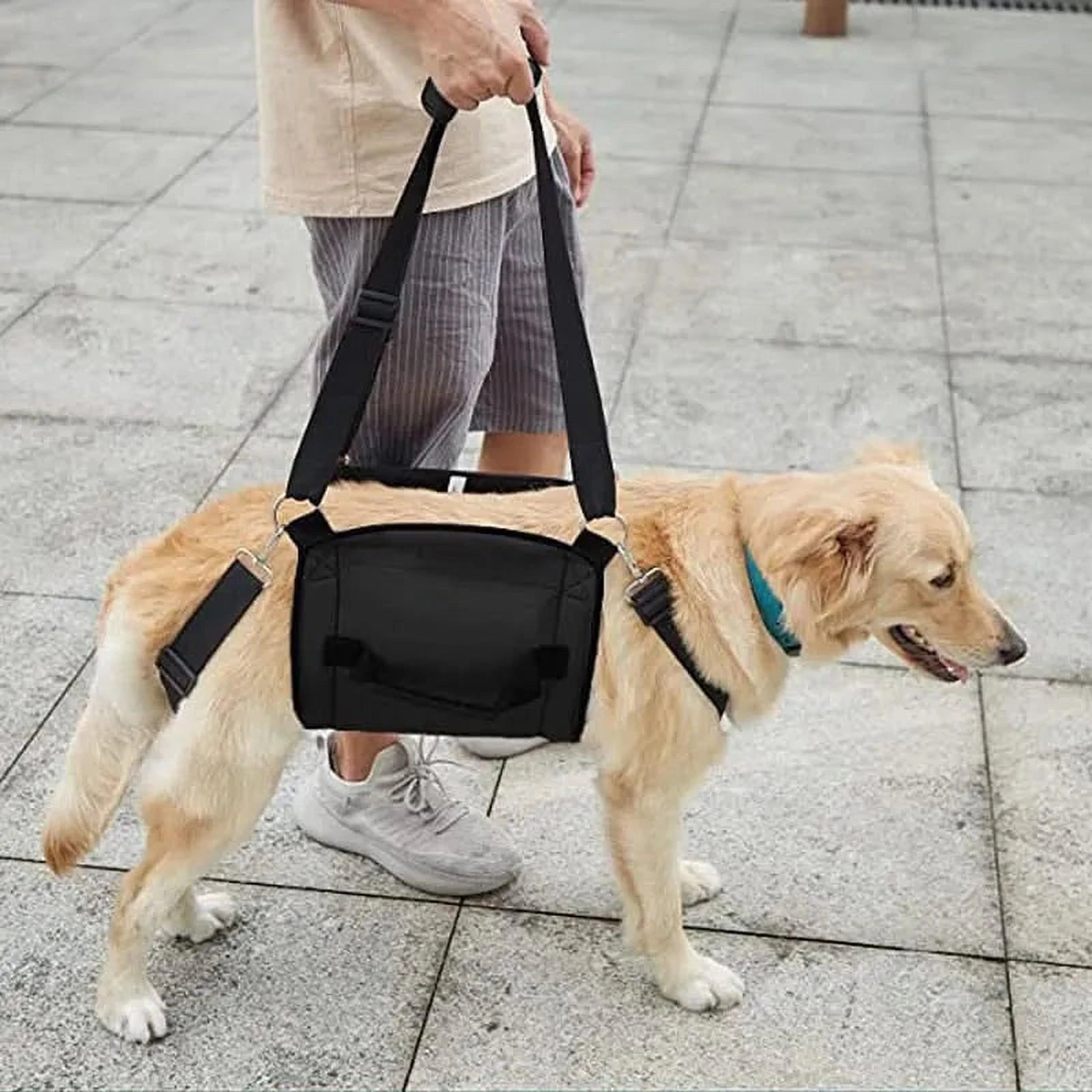 HarnBuddy Hond | Ondersteuningsharnas voor Mobiliteit