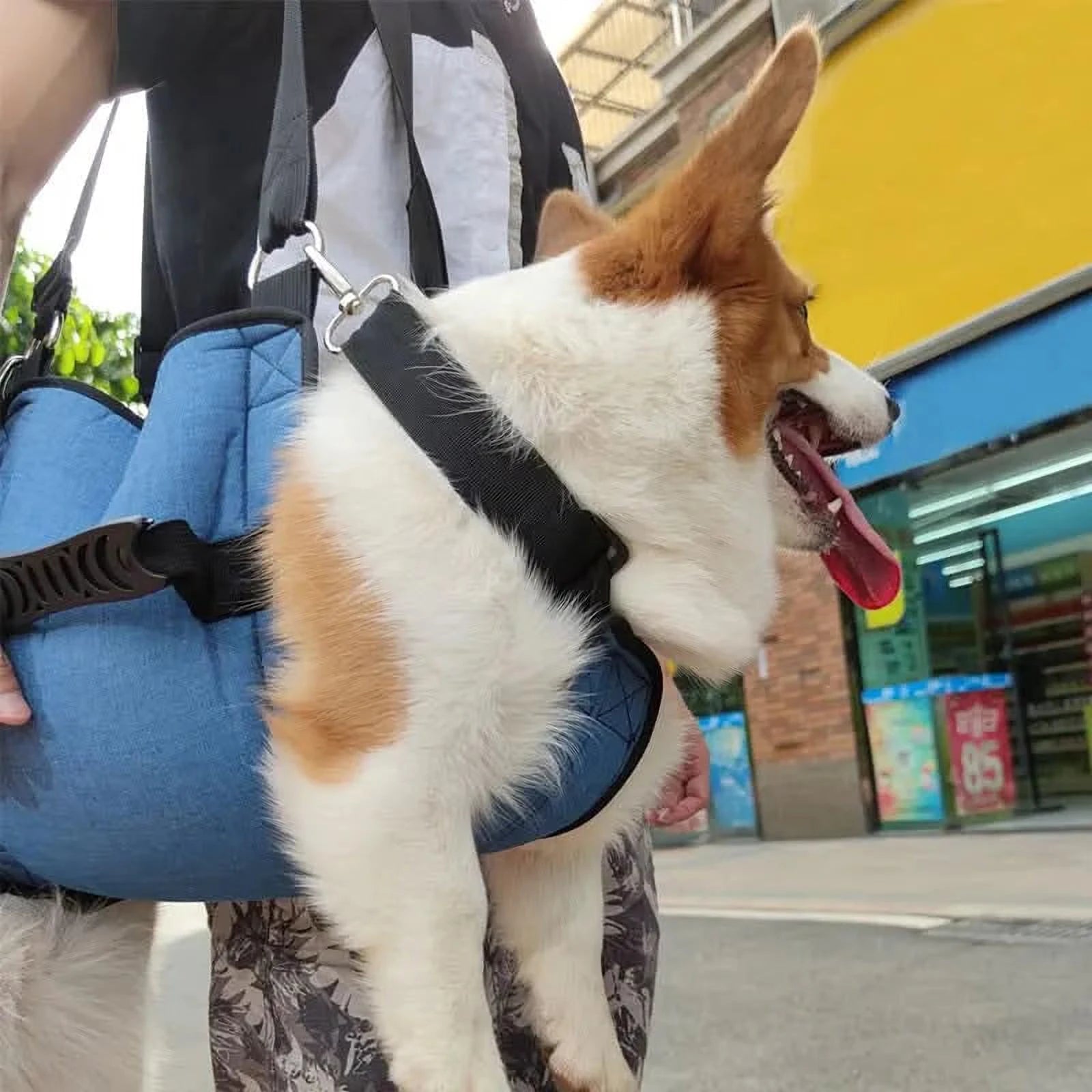 HarnBuddy Hond | Ondersteuningsharnas voor Mobiliteit