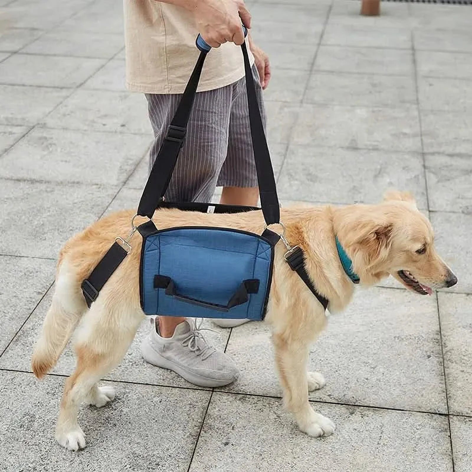 HarnBuddy Hond | Ondersteuningsharnas voor Mobiliteit